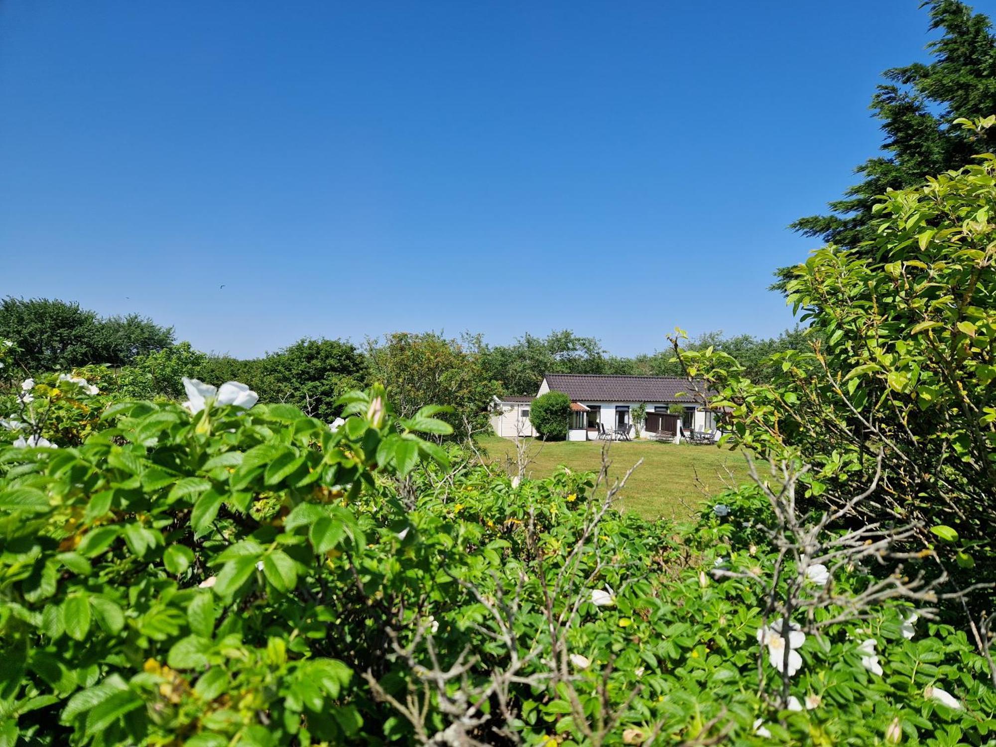 Amalia Villa Nes  Exterior photo
